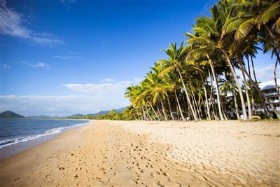 Palm Cove